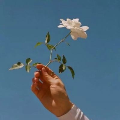 剑威苍穹游戏下载