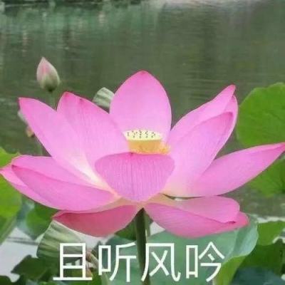 水晶之心台服下载