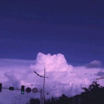 九戒之王手游下载